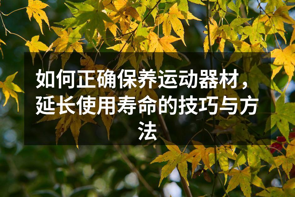 新款智能哑铃,助力力量训练